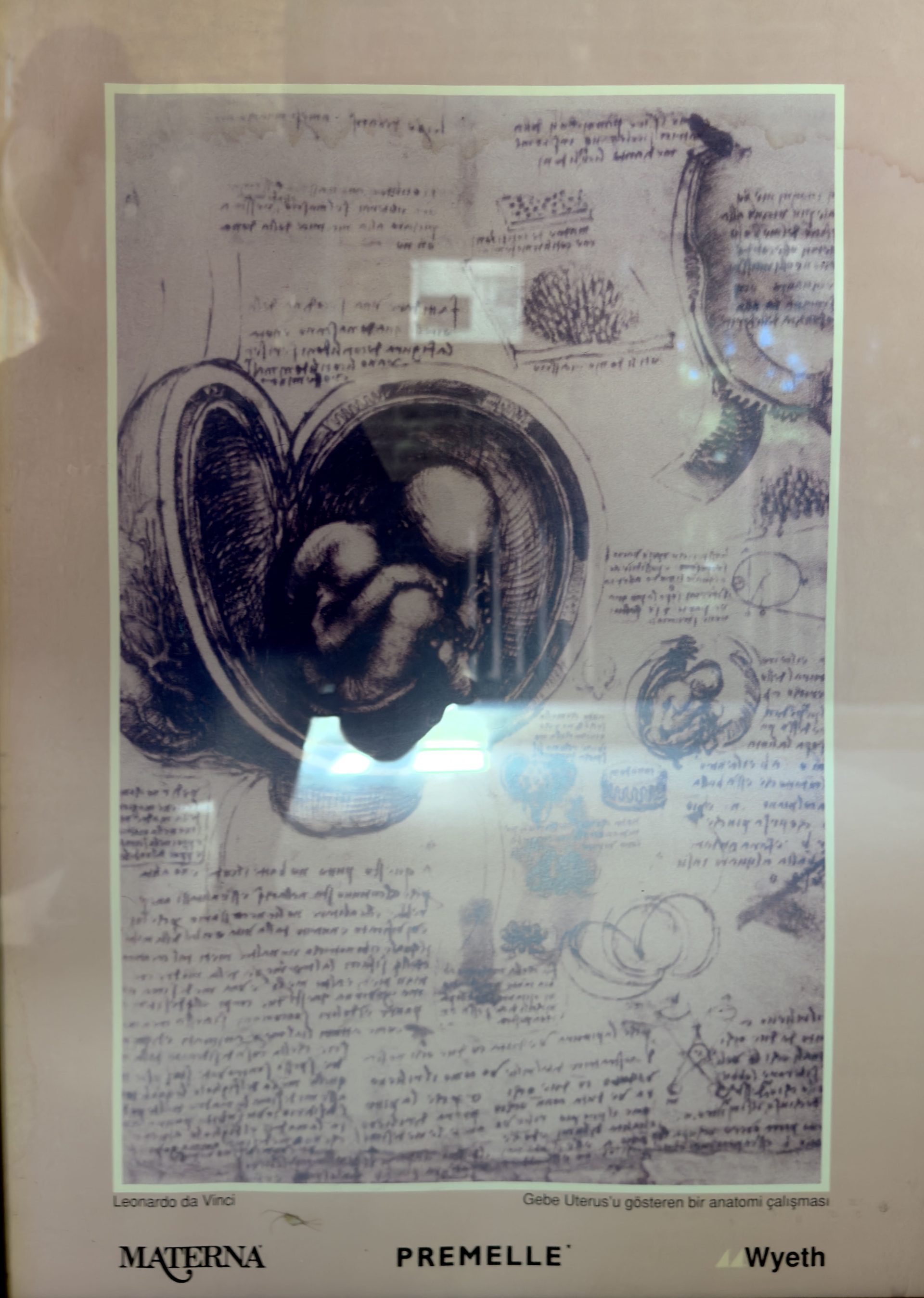 Zeynep Kamil Hastanesi (4).jpeg
